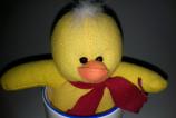 IMG_20110227_170520.jpg