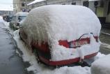 IMG_20110225_132916.jpg