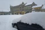 IMG_20110225_133203.jpg