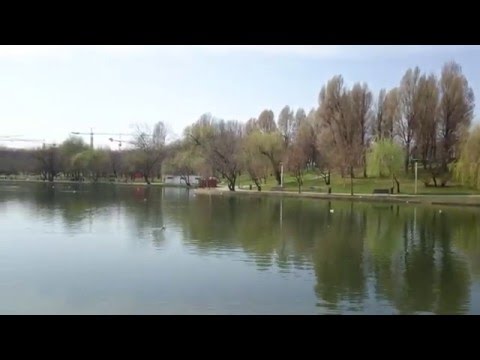 Sony Xperia Z5 Premium, mostră video UHD (4K), 30 FPS - Mobilissimo.ro