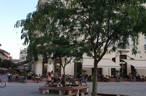 Samsung Galaxy Note 9 (Exynos 9810) - Mostre Foto (ziua): 20180901_172020.jpg