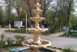 IMG_20160406_154708.jpg