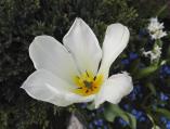 IMG_20160407_162633.jpg