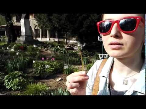 Huawei Honor 7, mostră video HD, 114 FPS (slow motion) - Mobilissimo.ro
