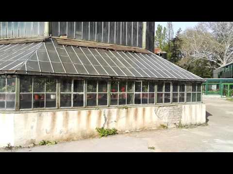 Huawei Honor 7, mostră video Full HD, 30 FPS (panoramare) - Mobilissimo.ro