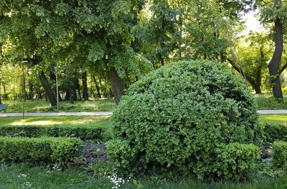 Plan apropiat, mult verde (Samsung Galaxy S7 vs Huawei P9 vs Xiaomi Mi 5): Samsung Galaxy S7