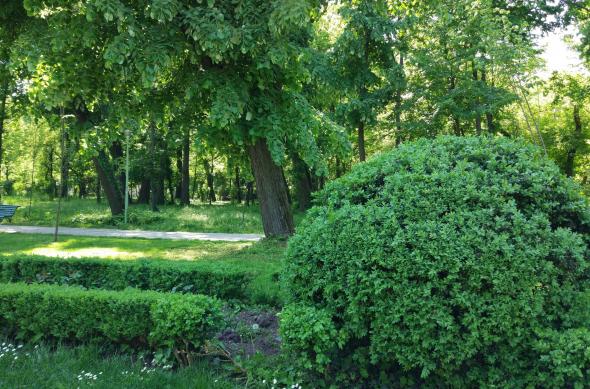 Plan apropiat, mult verde (Samsung Galaxy S7 vs Huawei P9 vs Xiaomi Mi 5): Xiaomi Mi 5