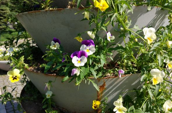 Culori (Samsung Galaxy S7 vs Huawei P9 vs Xiaomi Mi 5): Xiaomi Mi 5