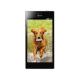 LG Optimus GJ E975W