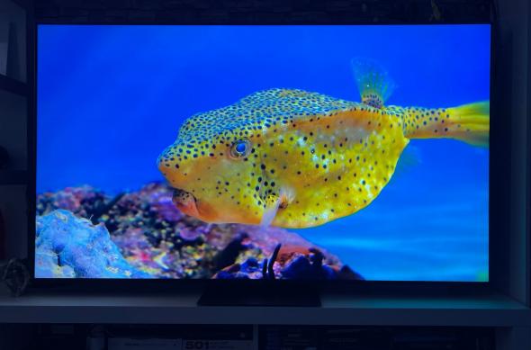 TCL MiniLED 65C845 - Fotografii: TCL-MiniLED-65C845_014.jpg