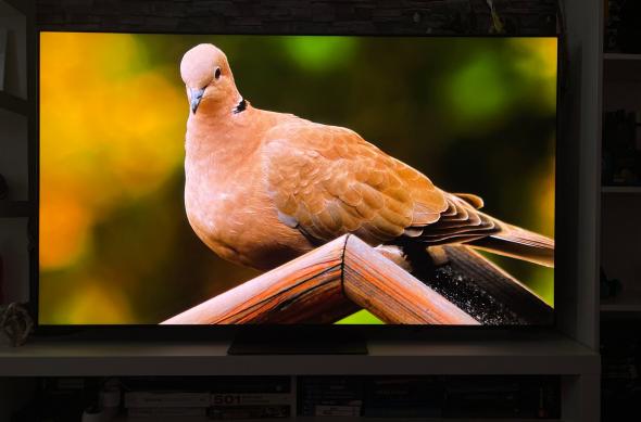 TCL MiniLED 65C845 - Fotografii: TCL-MiniLED-65C845_012.jpg