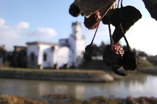 Vivo Y70 - Mostre Foto (ziua)