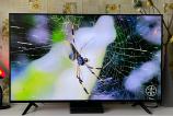 Xiaomi-Mi-TV-P1-55_014.jpg