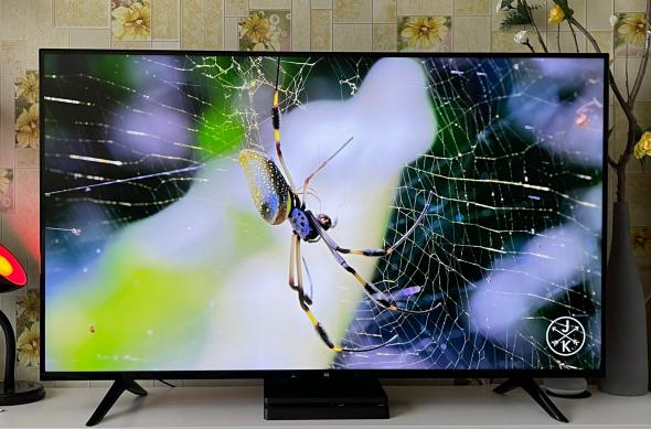 Xiaomi Mi TV P1 55 inch - Fotografii: Xiaomi-Mi-TV-P1-55_014.jpg