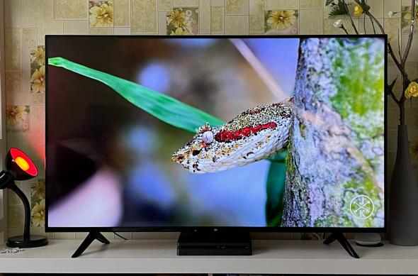 Xiaomi Mi TV P1 55 inch - Fotografii: Xiaomi-Mi-TV-P1-55_027.jpg