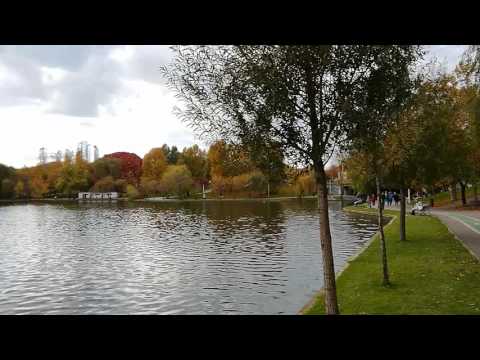 Huawei MediaPad M3, mostră video Full HD, 30 FPS (panoramare și zoom) - Mobilissimo.ro