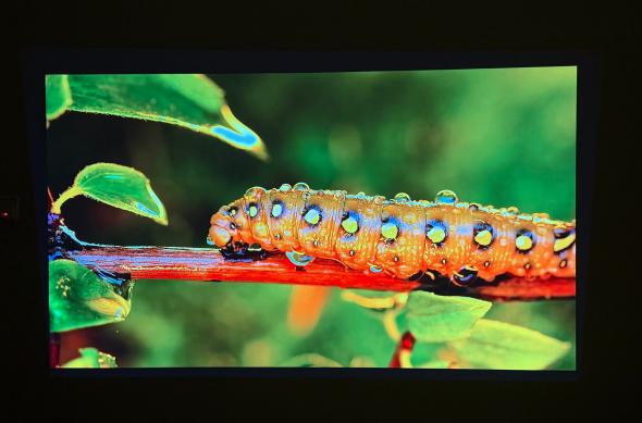 Epson Lifestudio Flex (EF-72) - Imagine 4K (2): Imagine_ (2).jpg