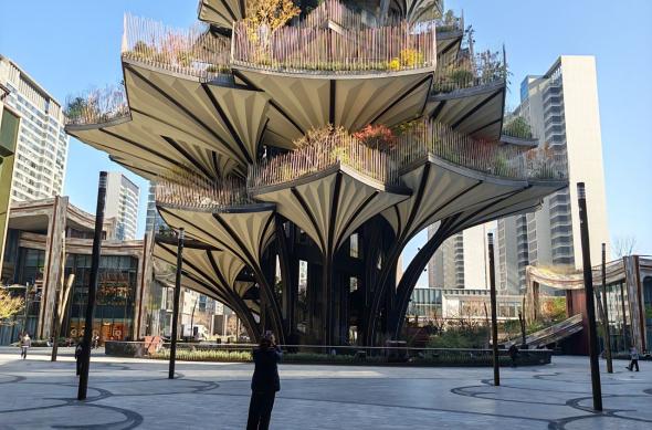 Honor Magic8 Pro - Mostre zi: Honor-Magic8-Pro-Mostre-ZI_042.jpg