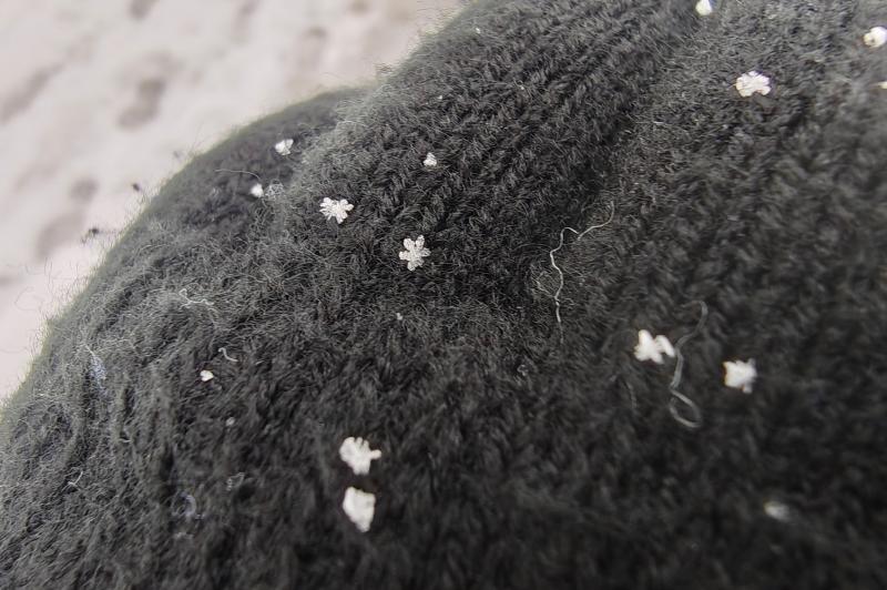 Motorola Signature - Mostre macro: Macro_ (4).jpg