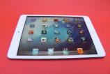 29_ipad_mini_review_mobilissimo_ro.jpg