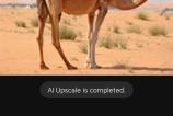 Upscale (12).jpg
