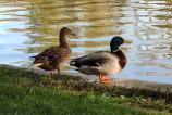 Nothing-Phone-3a-Pro-Mostre--zoom_020.jpg