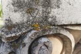 Nothing-Phone-3a-Pro-Mostre-macro_004.jpg