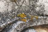 Nothing-Phone-3a-Pro-Mostre-macro_005.jpg