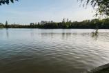 Nothing-Phone-3a-Pro-Mostre-zi_039.jpg
