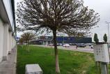 IMG_20250427_132220_368.jpg