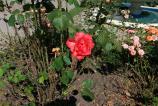 20160723_155051.jpg
