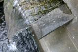 20110623_606.jpg