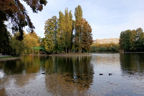 Fotografii făcute ziua cu vivo V21 5G