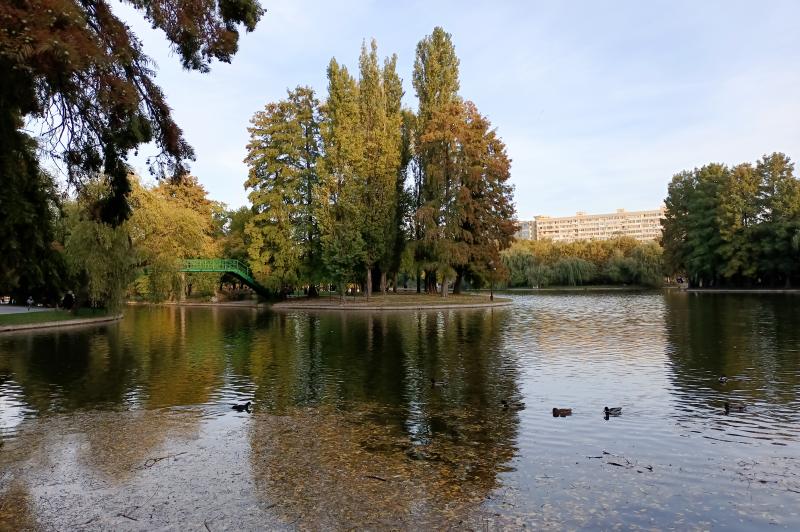 Fotografii făcute ziua cu vivo V21 5G: IMG_20211010_174118.jpg