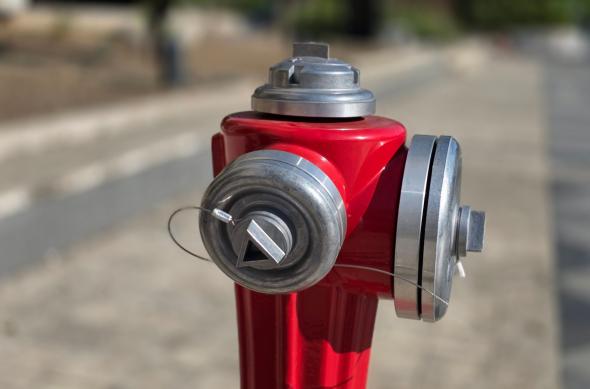 Samsung Galaxy S25 Edge - Mostre bokeh, closeup: Mostre (3).jpg