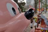 IMG_20181226_152424_Bokeh.jpg