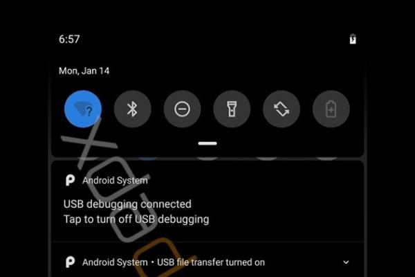 [UPDATE: Avem și video] Google se ține de promisiuni! O temă de culoare închisă apare în cel mai proaspăt build Android Q