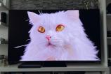 Samsung-OLED-65S95D_096.jpg