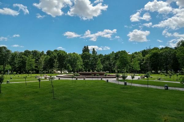 realme C21 - Mostre Foto (ziua)