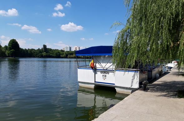 Samsung Galaxy A6 (2018) - Mostre Foto (ziua): 20180620_151750.jpg