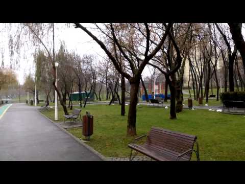 Allview X2 Soul Mini mostră foto HD 30 FPS - Mobilissimo.ro