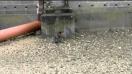 Amazon Fire phone video sample with zoom 2 (FHD, 30FPS ) - Mobilissimo.ro