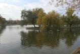 iPad-Air-2-Mostre-Foto-Ziua_004.jpg