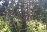 BlackBerry-Z10--Mostre-foto-ziua_004.jpg