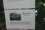BlackBerry-Z10--Mostre-foto-ziua_008.jpg