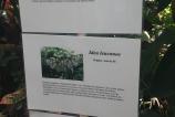 BlackBerry-Z10--Mostre-foto-ziua_009.jpg