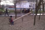 BlackBerry-Torch-Mostre-foto-ziua_011.jpg