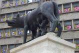 20111113_002719.jpg