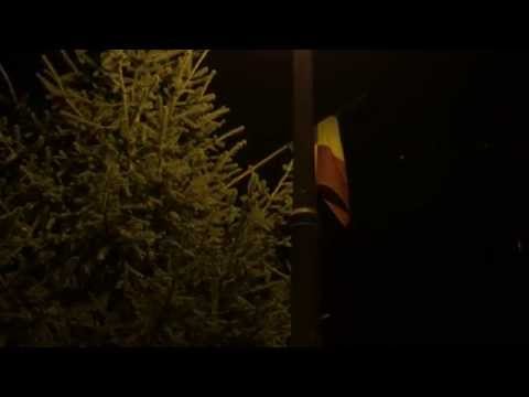 iPhone 6 Plus Video Sample (Low Light) - Mobilissimo.ro