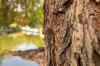 iPhone-15-Closeup_009.jpg